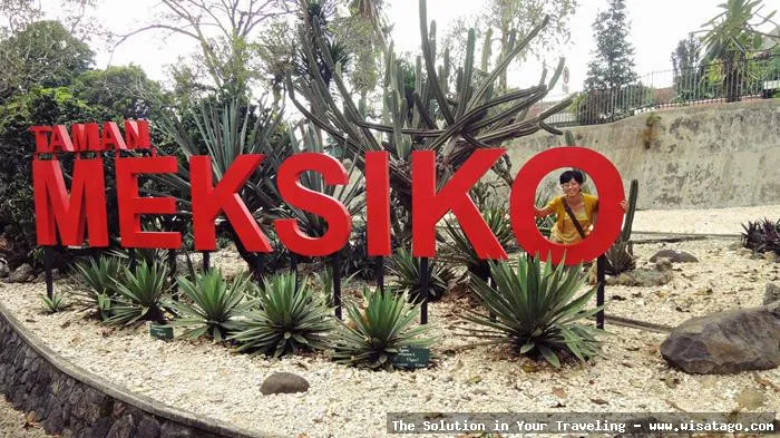 Taman Meksiko dengan tanaman eksotis.