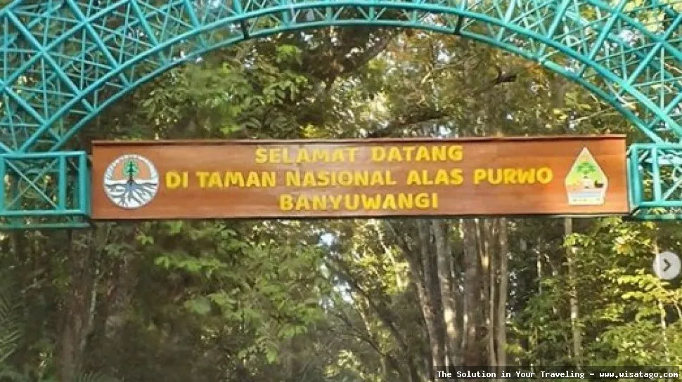 Taman Nasional Alas Purwo yang misterius