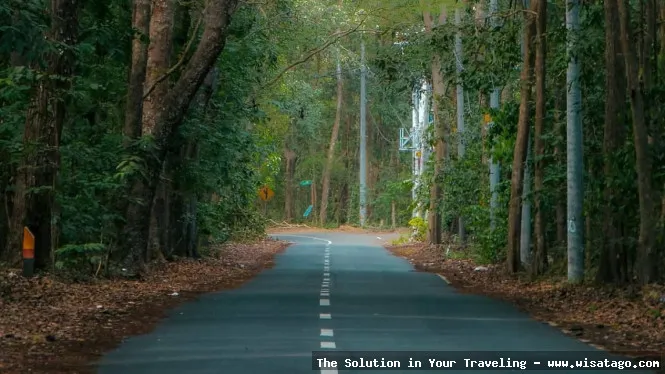 Taman Nasional Alas Purwo yang misterius