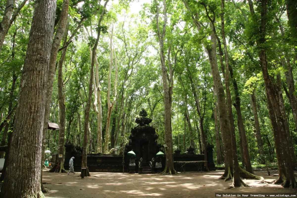 Taman Nasional Alas Purwo yang misterius
