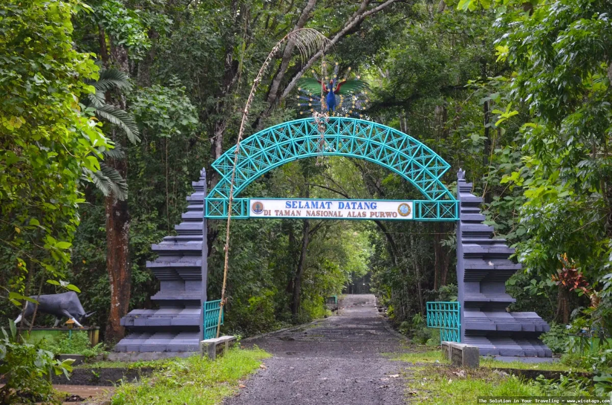 Taman Nasional Alas Purwo yang misterius