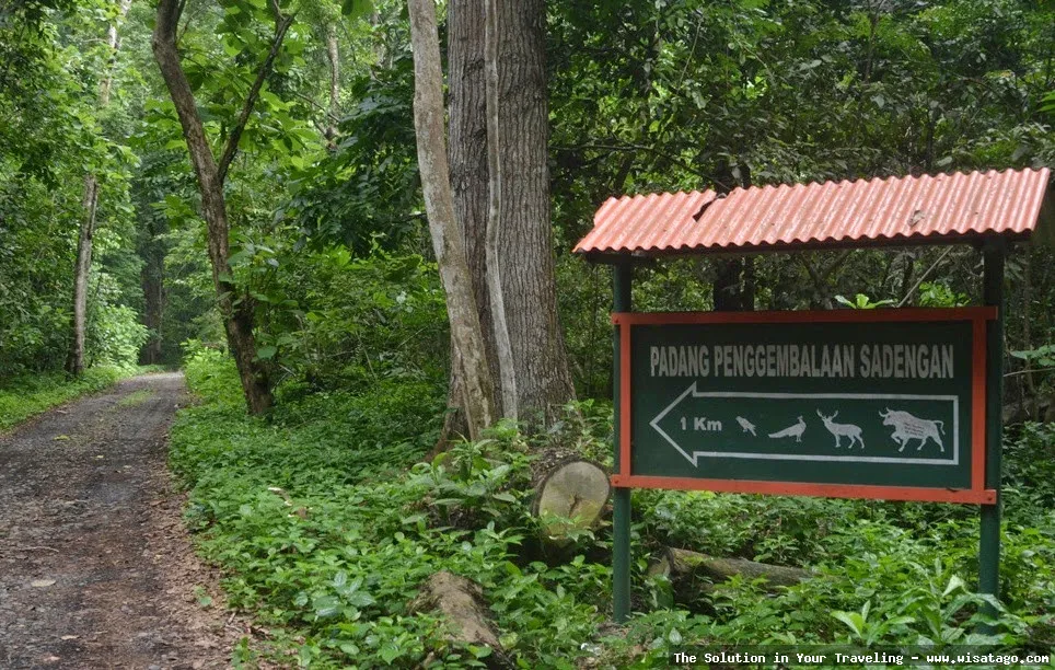 Taman Nasional Alas Purwo yang misterius