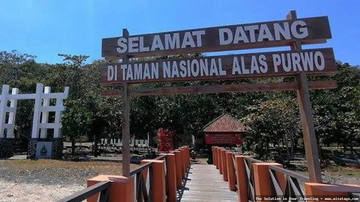 Taman Nasional Alas Purwo yang mempesona