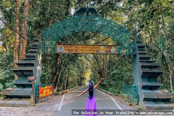 Taman Nasional Alas Purwo yang misterius