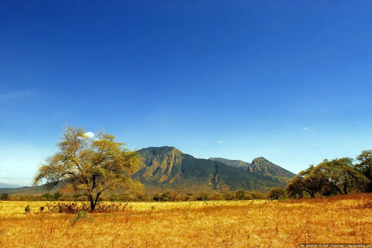 Taman Nasional Baluran: Tips, Harga Tiket, Kuliner, Lokasi, Fasilitas dan Spot Taman Nasional Baluran: Tips, Harga Tiket, Kuliner, Lokasi, Fasilitas dan Spot