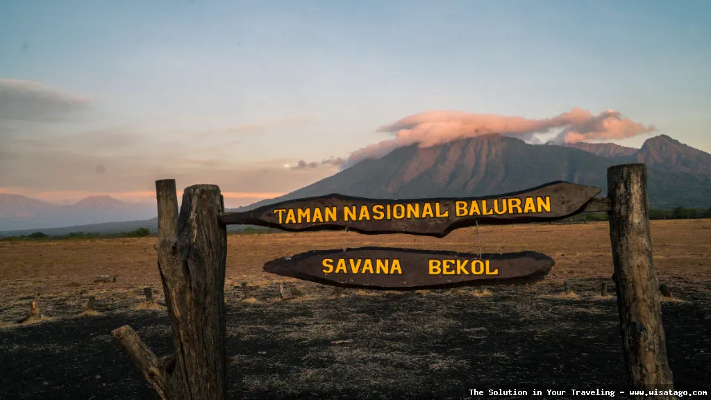 Taman Nasional Baluran: Savana Bekol menawan