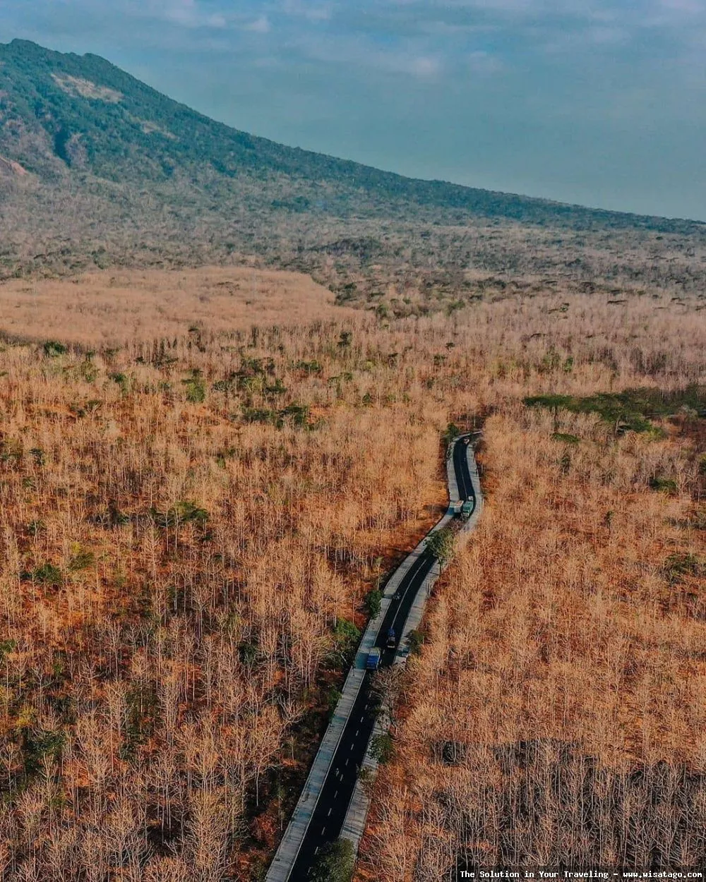 Taman Nasional Baluran, savana Afrika Jawa