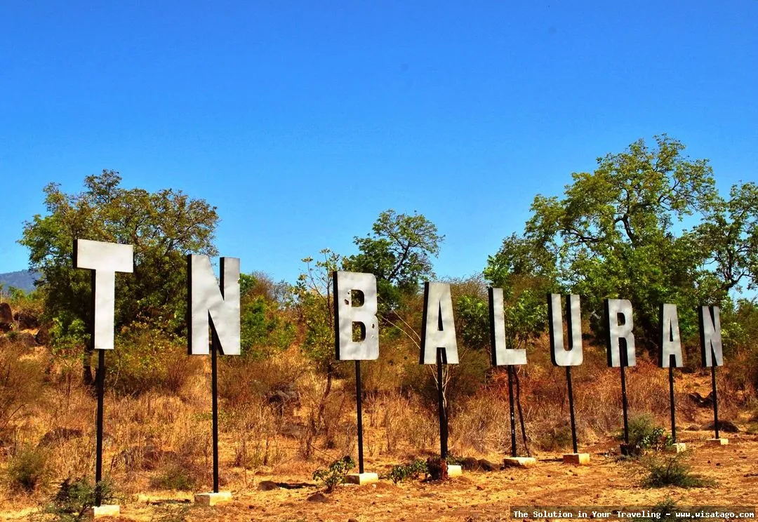 Taman Nasional Baluran: Savana Afrika Indonesia
