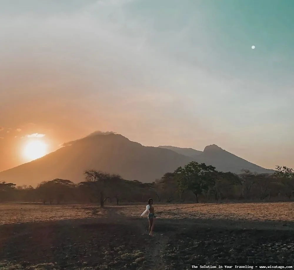 Taman Nasional Baluran: Savana Afrika Indonesia