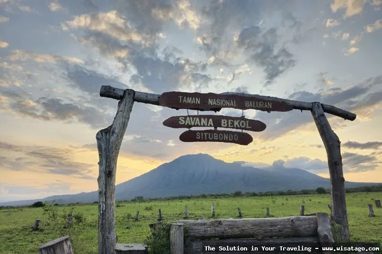 Taman Nasional Baluran: Savana Afrika Indonesia