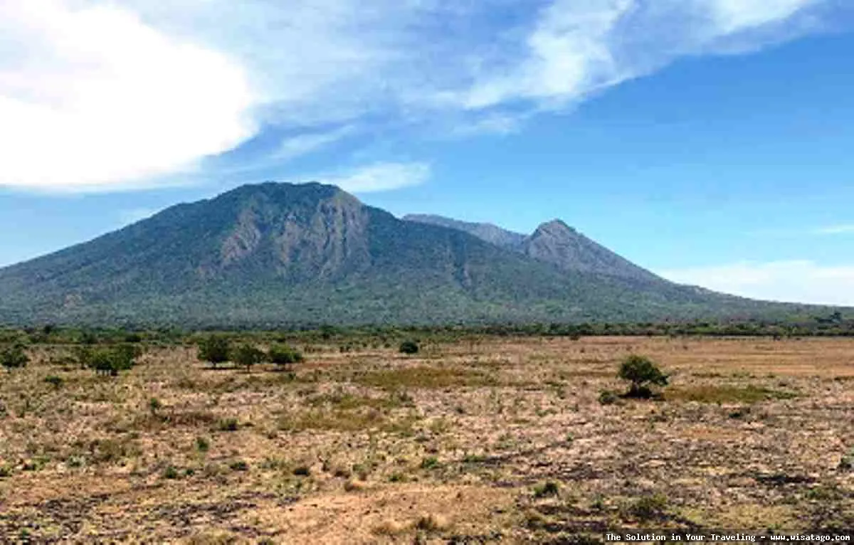 Taman Nasional Baluran, savana Afrika Jawa