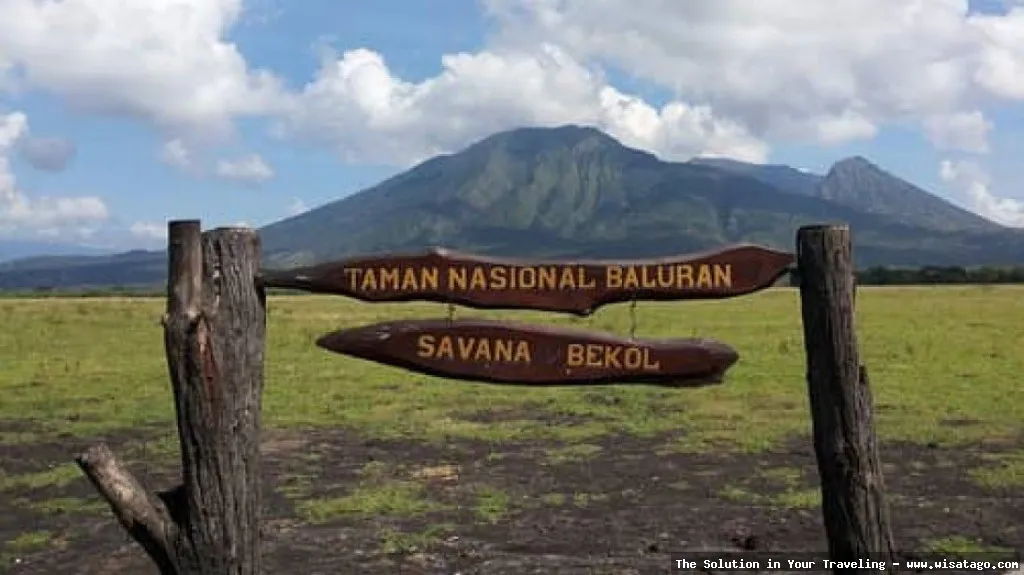 Taman Nasional Baluran: Savana Afrika Indonesia