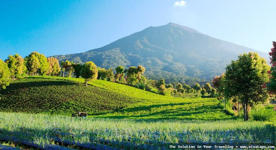 Taman Nasional Kerinci Seblat yang memukau