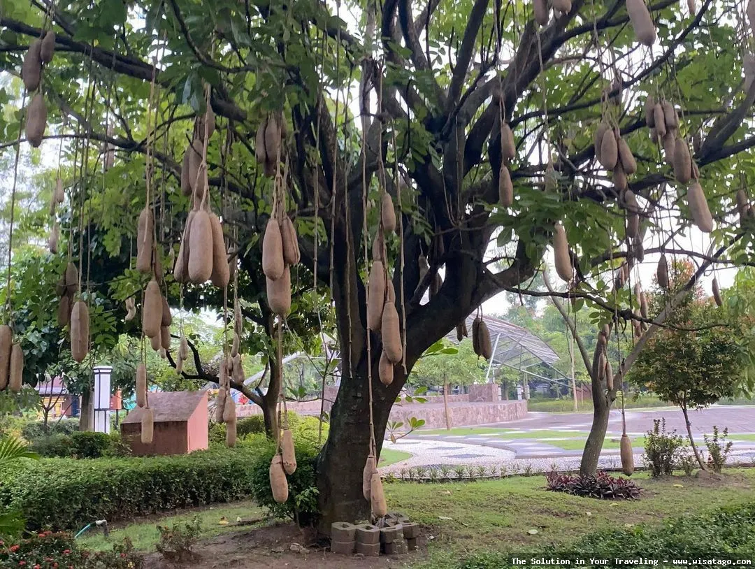 Taman Rajekwesi: Keindahan ruang terbuka hijau