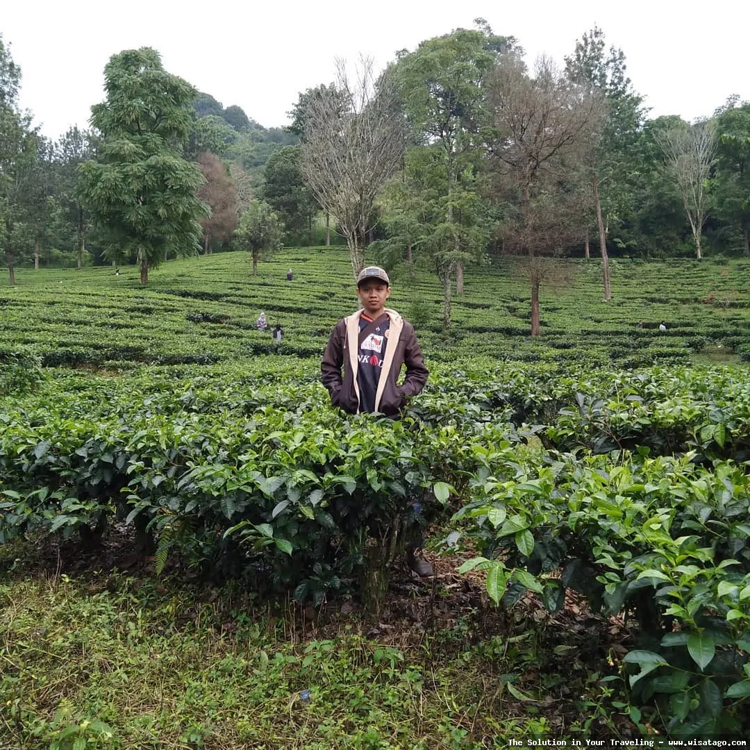 Taman Riung Gunung, pemandangan indah.