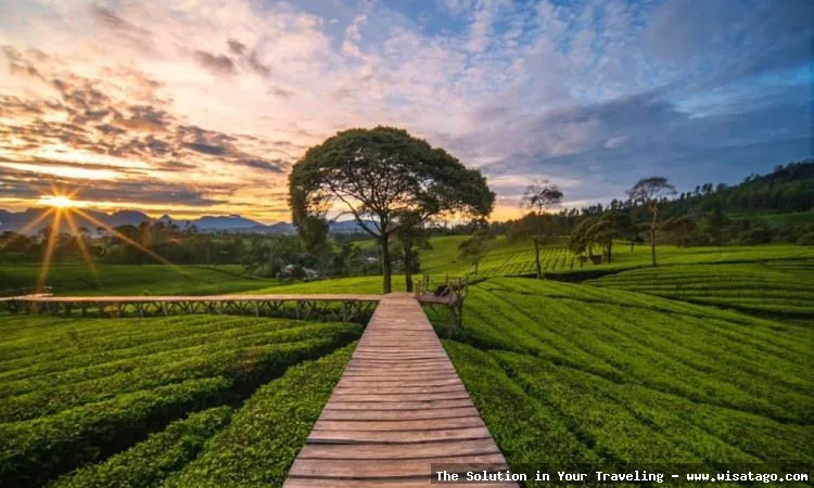 Taman Riung Gunung yang asri