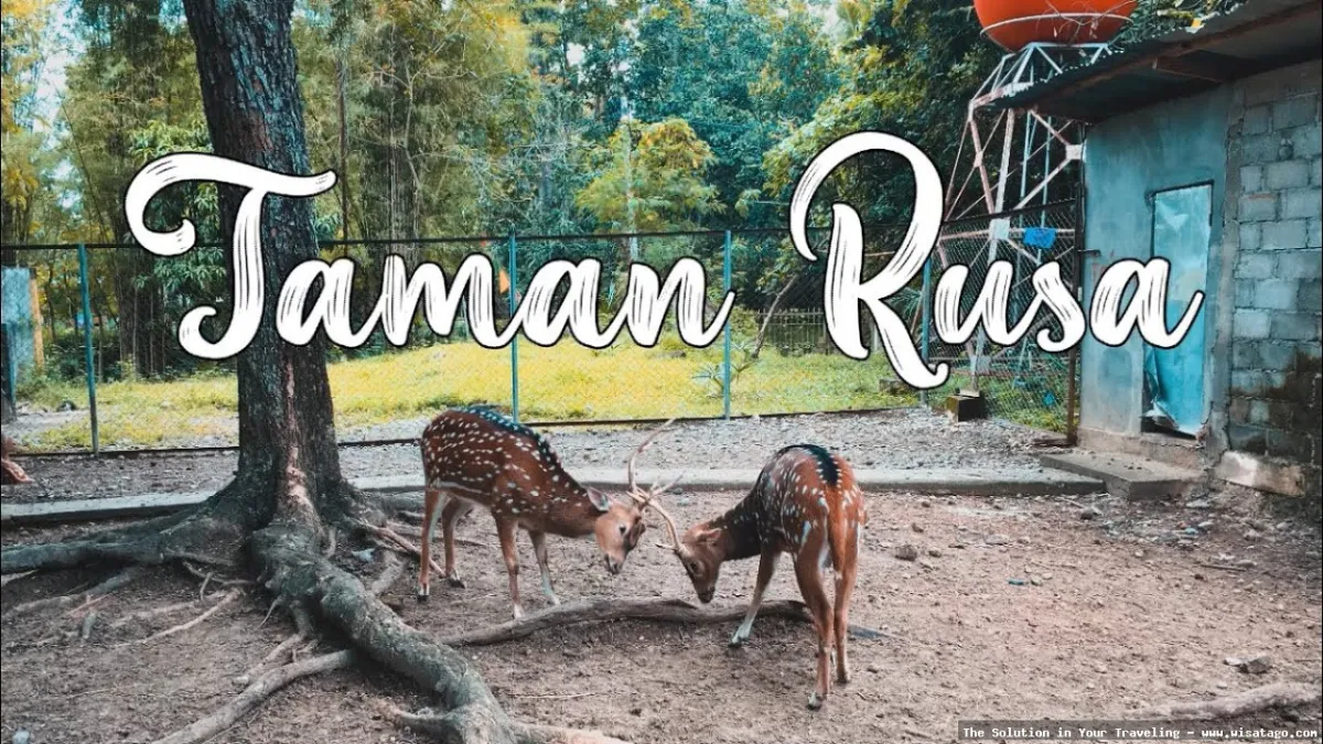 Taman Rusa Aceh Besar yang asri