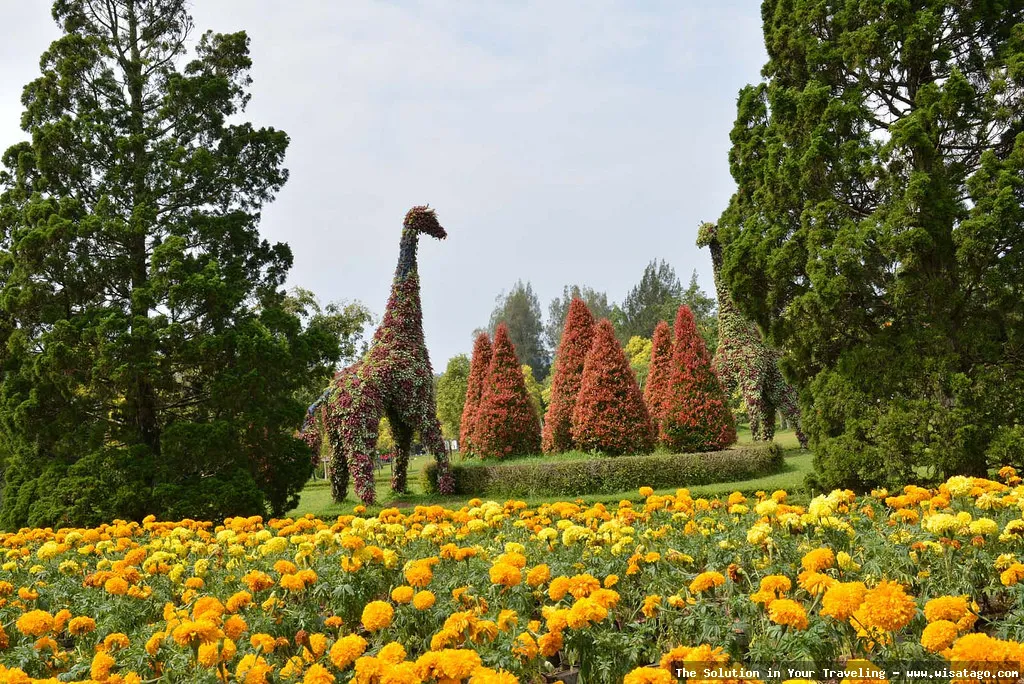 Taman Wisata Bunga Nusantara nan indah