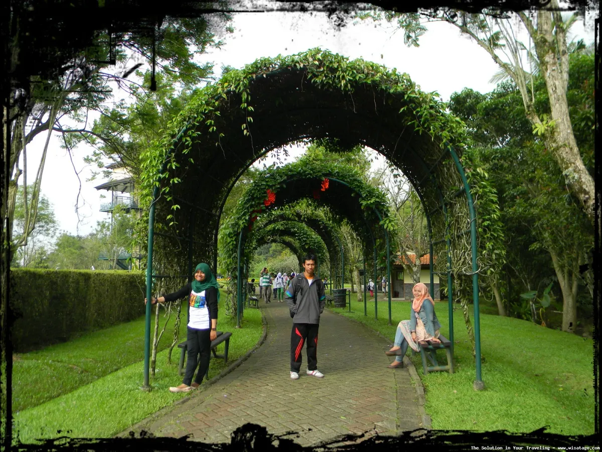 Taman Wisata Bunga Nusantara indah mempesona