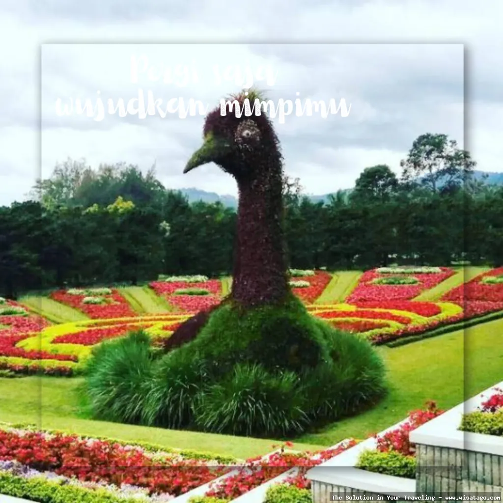 Taman Wisata Bunga Nusantara indah mempesona