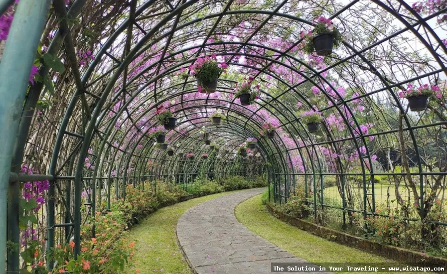 Taman Wisata Bunga Nusantara indah mempesona