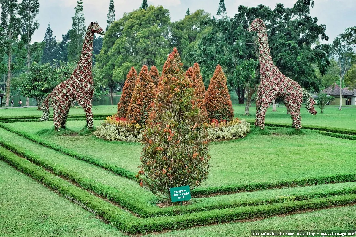 Taman Wisata Bunga Nusantara indah mempesona