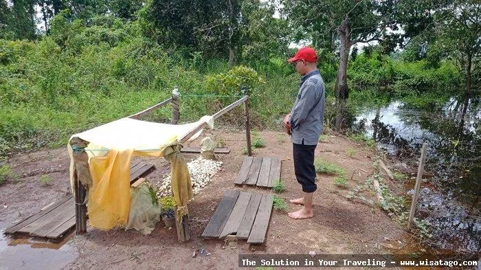 Tambak Baru, budidaya udang modern