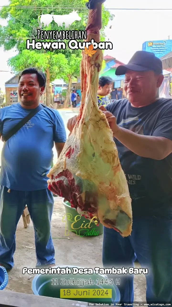 Tambak Baru: Potret budidaya udang