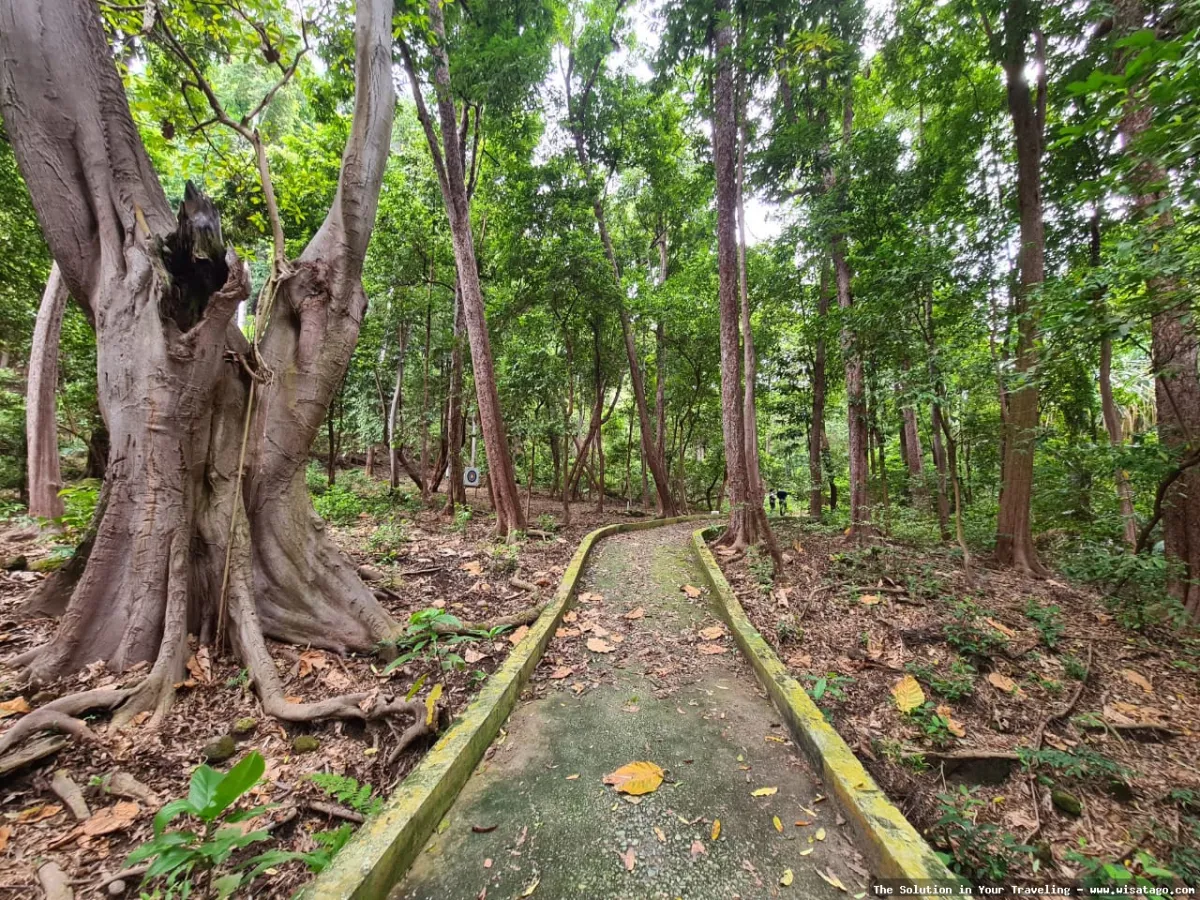 Tempat Wisata Gunung Jaboi yang indah
