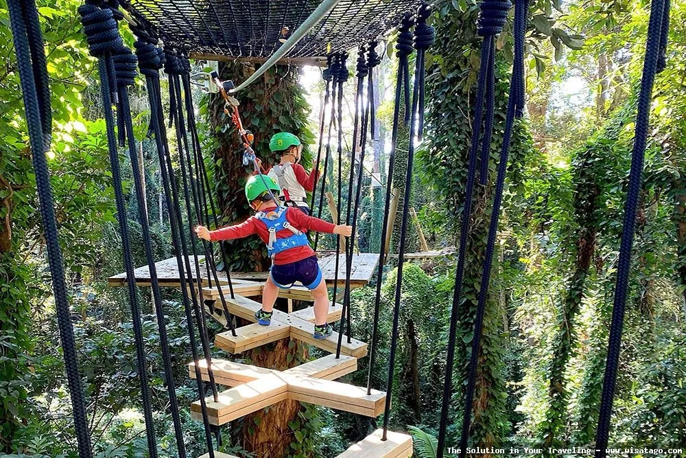 Treetop Adventure Park penuh tantangan seru
