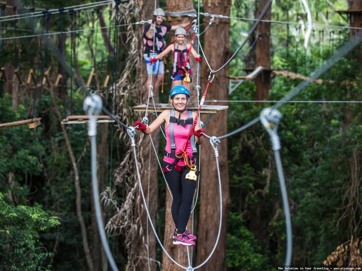 Treetop Adventure Park penuh tantangan seru