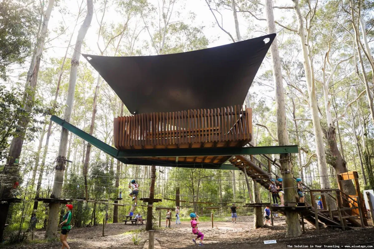 Treetop Adventure Park penuh tantangan seru