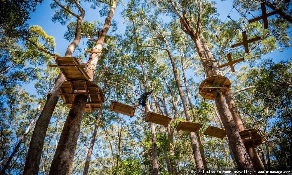 Treetop Adventure Park penuh tantangan seru
