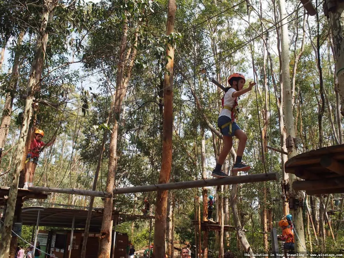 Treetop Adventure Park penuh tantangan seru