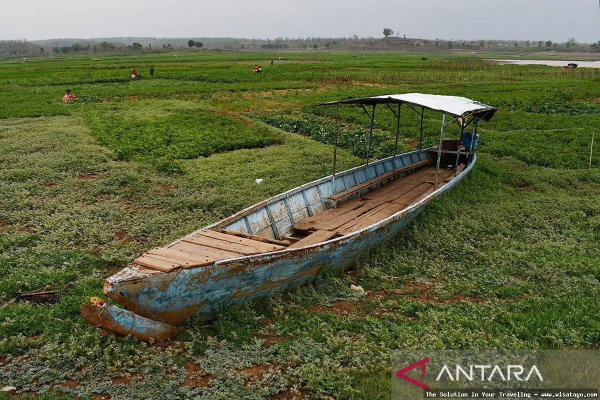 Waduk Dawuhan, keindahan alam memukau