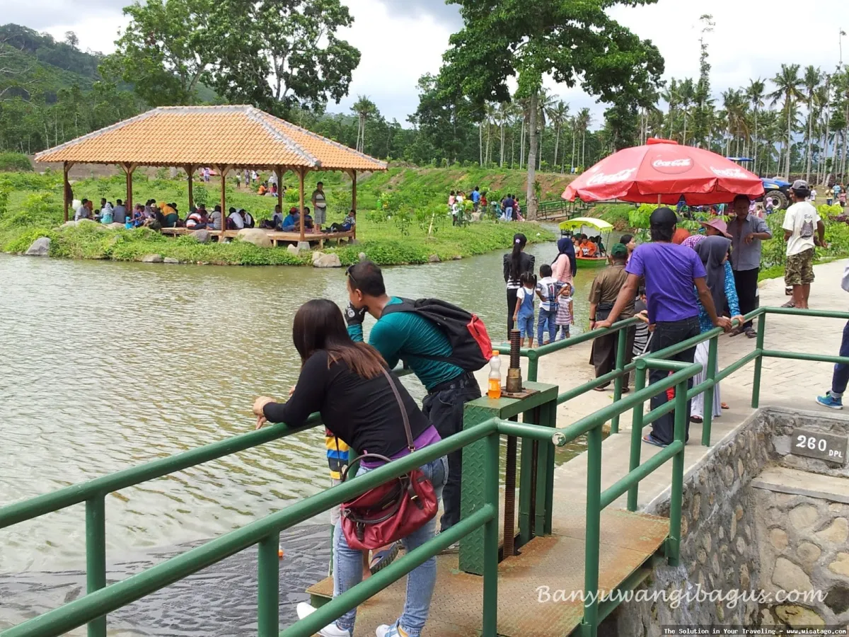 Waduk Sidodadi Glenmore Banyuwangi yang indah
