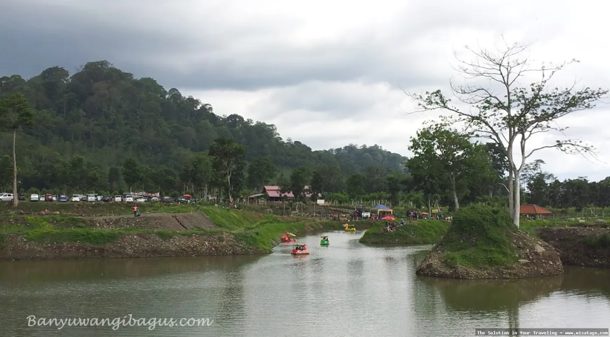 Waduk Sidodadi Glenmore Banyuwangi yang indah