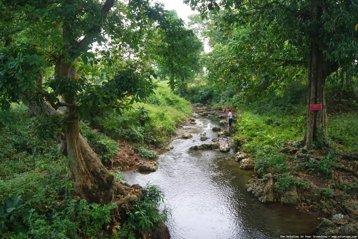 Wana Wisata Dander, keindahan alam Blora