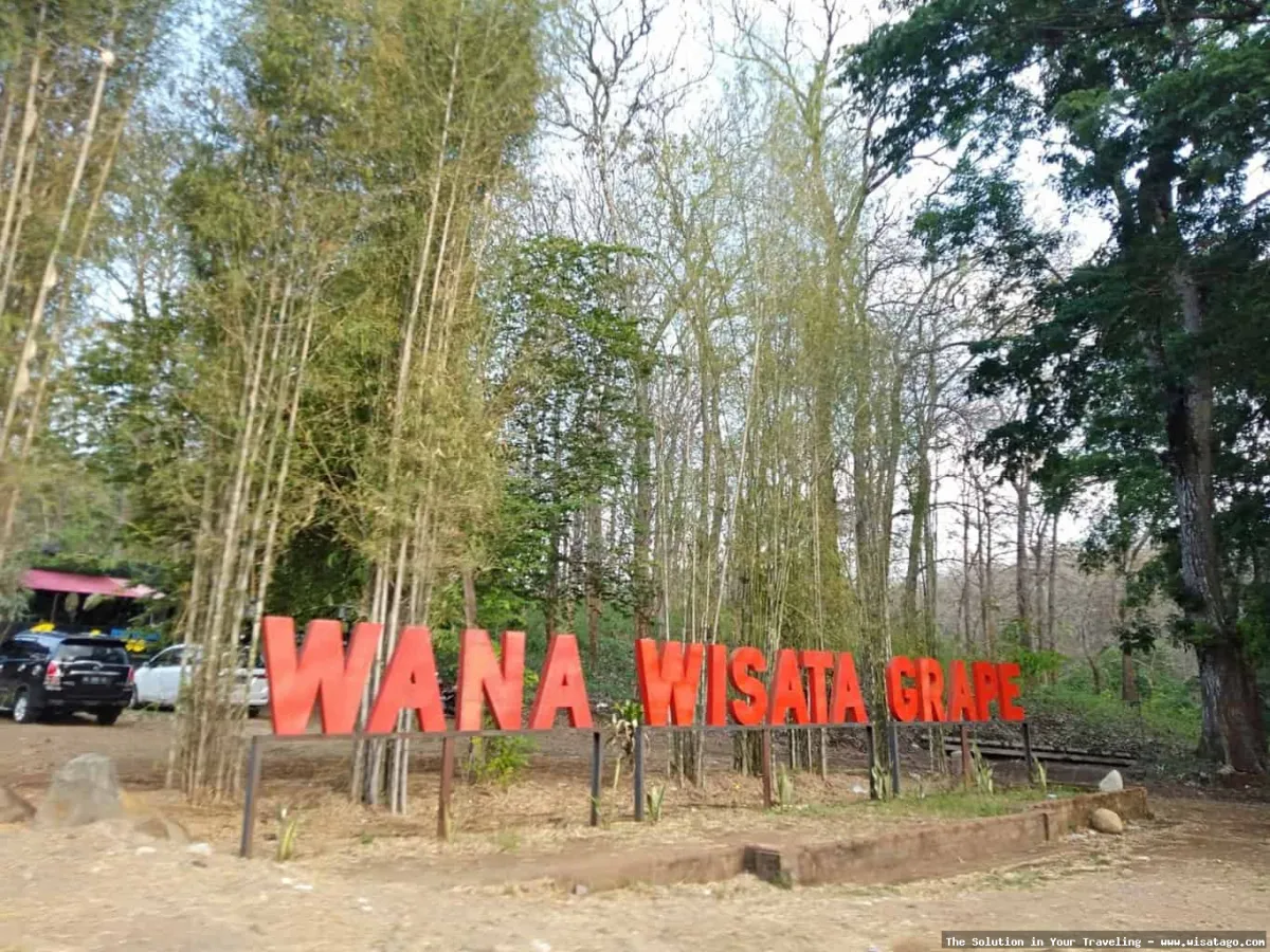 Wana Wisata Grape: Tips, Harga Tiket, Kuliner, Lokasi, Fasilitas dan Spot Wana Wisata Grape: Tips, Harga Tiket, Kuliner, Lokasi, Fasilitas dan Spot
