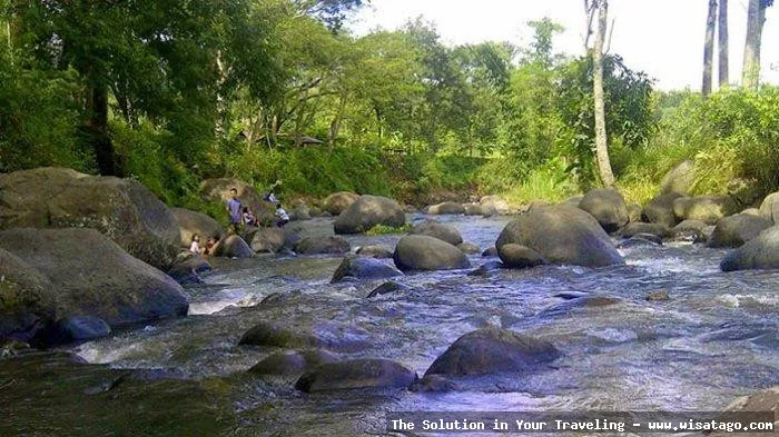 Wana Wisata Grape: keindahan alam