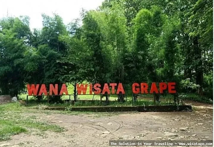 Wana Wisata Grape, pemandangan indah
