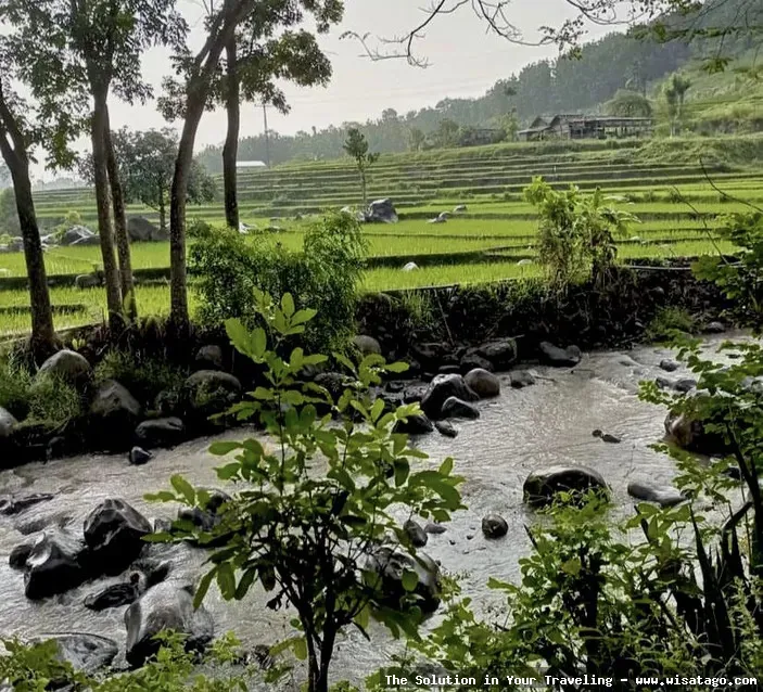 Wana Wisata Grape: Keindahan alam Mojokerto