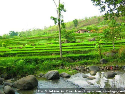 Wana Wisata Grape, pemandangan indah.