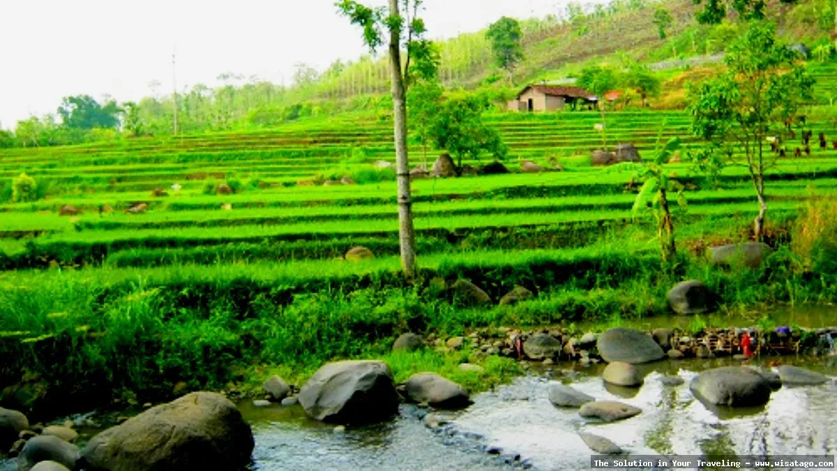 Wana Wisata Grape yang asri