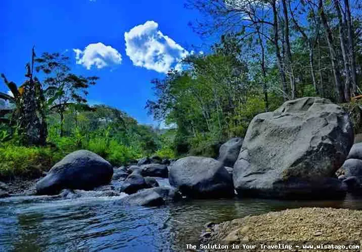 Wana Wisata Grape, pemandangan alam