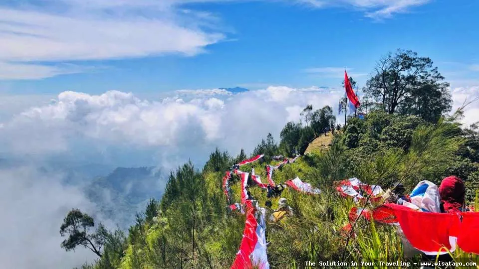 Warkop Bawah Gunung yang asri.