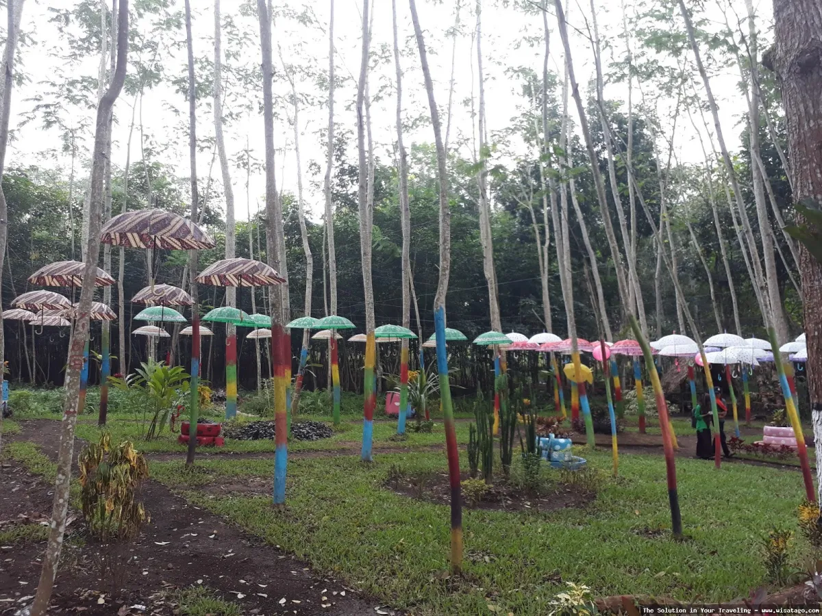 Wisata Agro Glantangan: kebun teh hijau