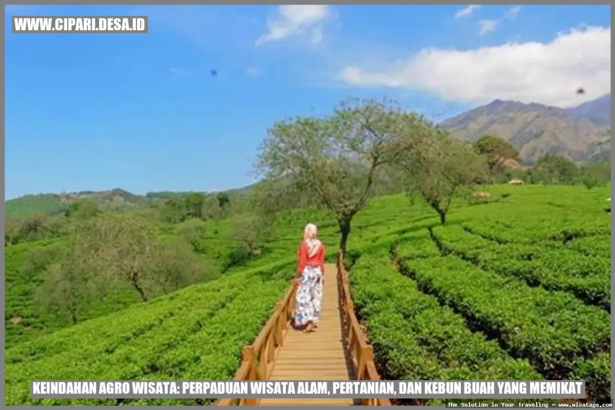 Wisata Agro Glantangan, pemandangan alam indah