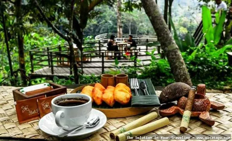 Wisata Agro Kopi Kalisat nan indah
