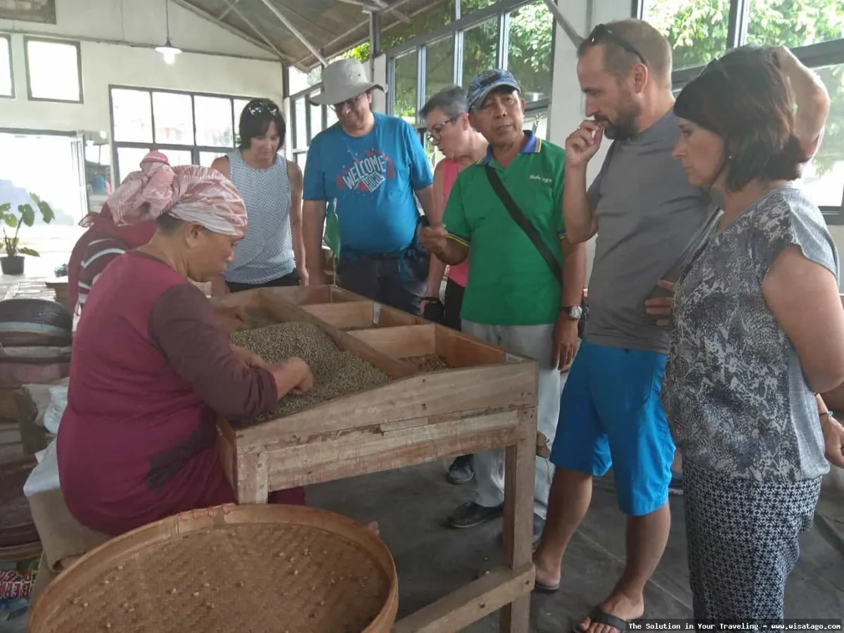 Wisata Agro Kopi Kalisat nan asri